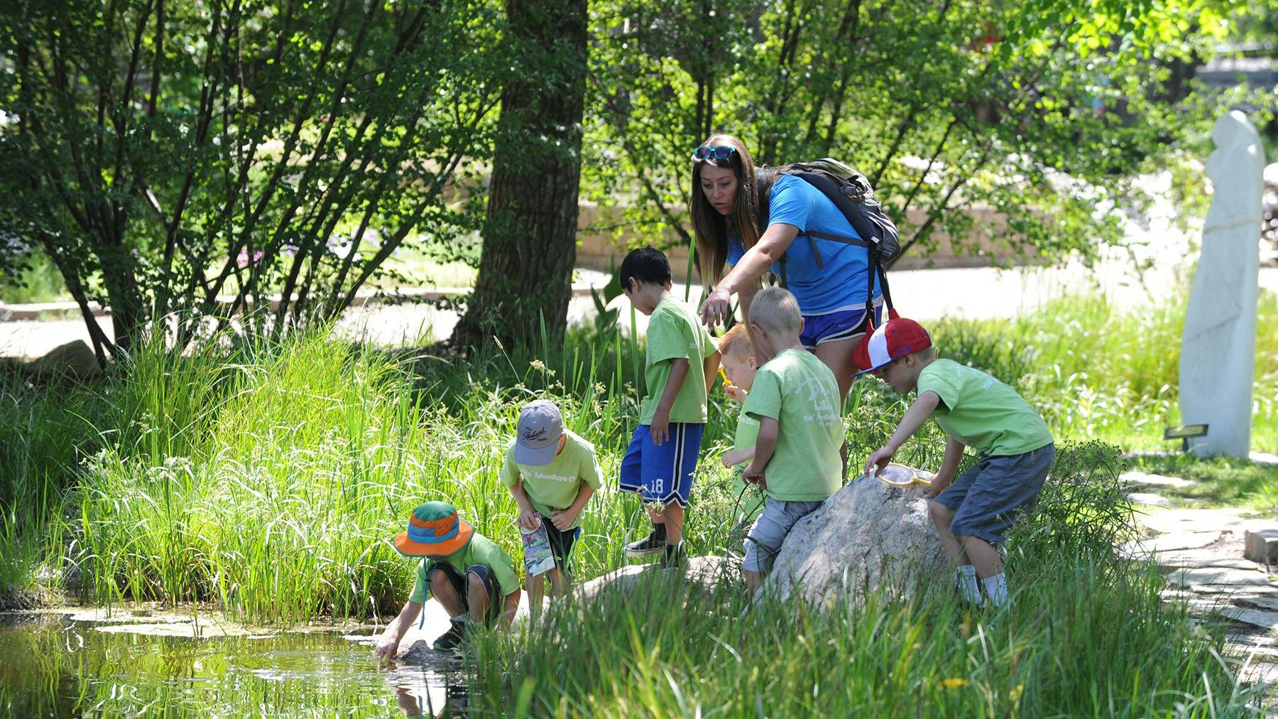Adult and children exploring a pond