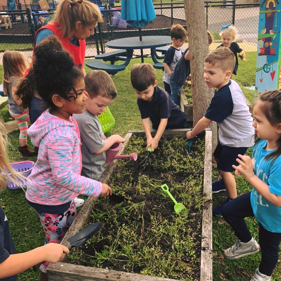 Katy's Early Childhood Enrichment Preschool in Katy, TX Winnie