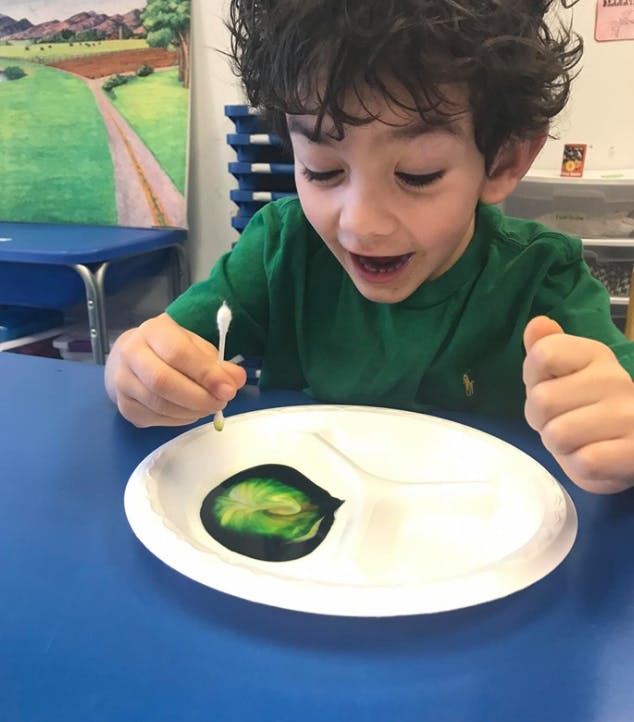 Child painting on a paper plate with a cotton swab