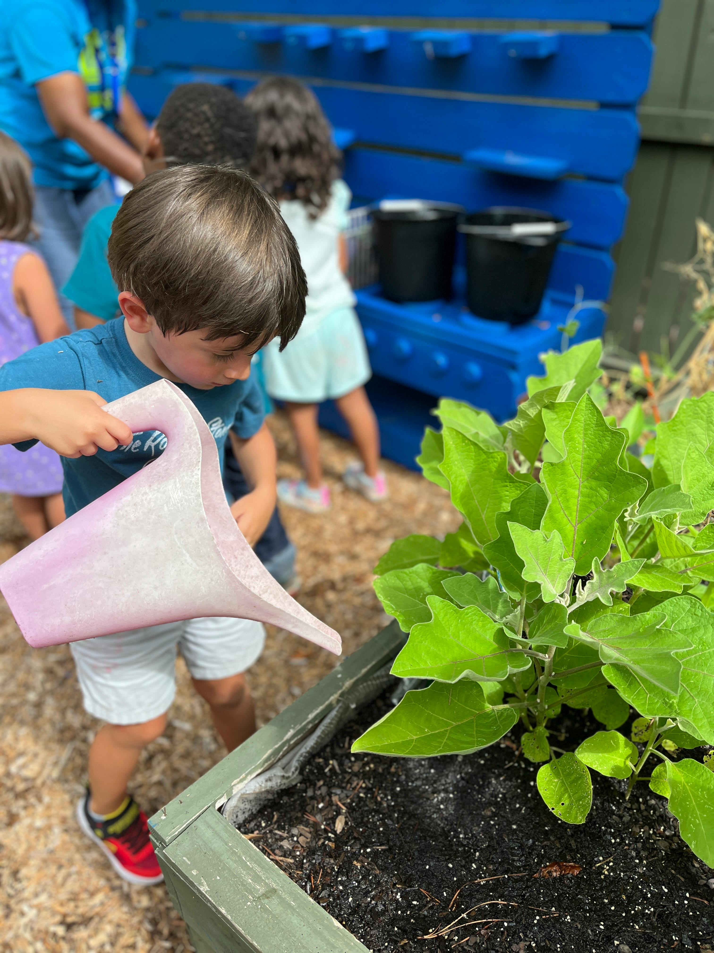 Child watering a plant in a raised garden bed