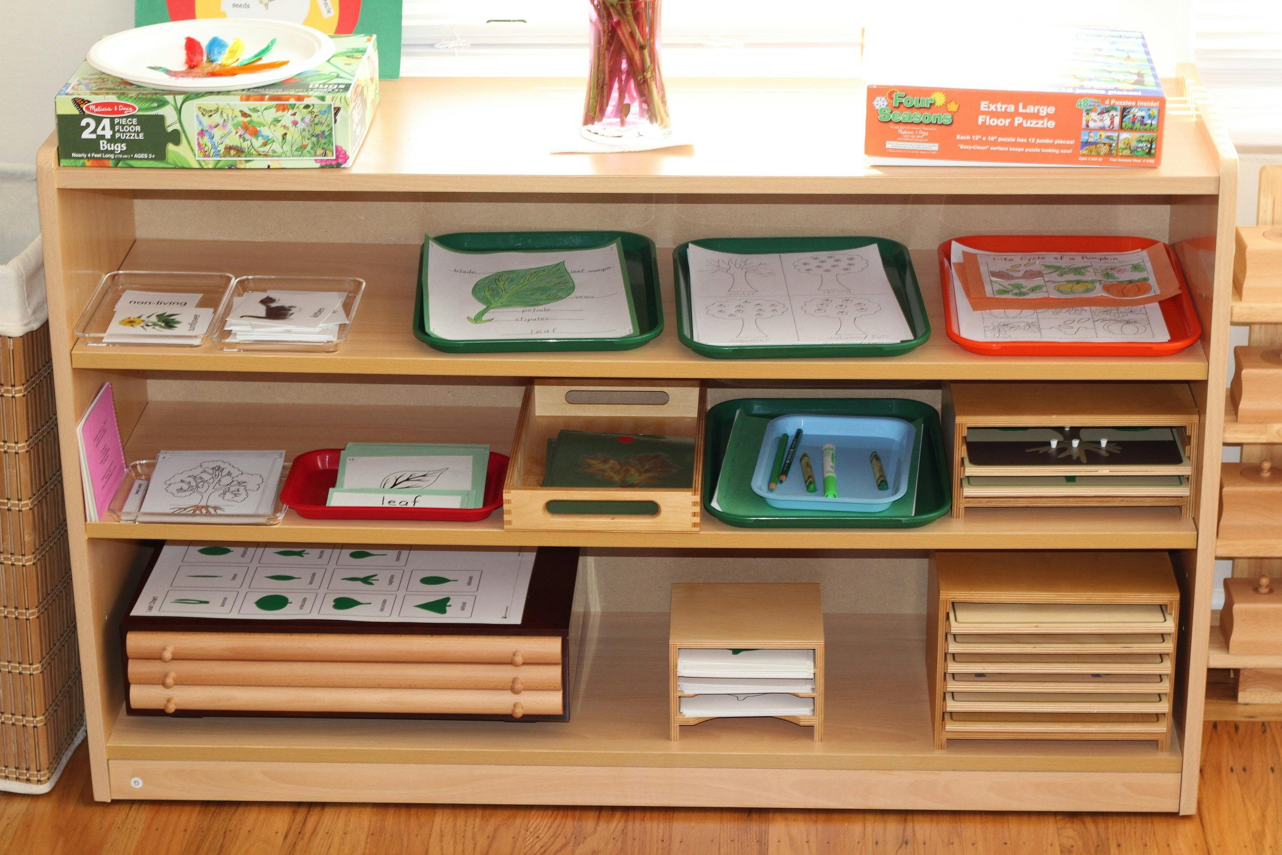 Wooden shelving unit with various learning materials and trays