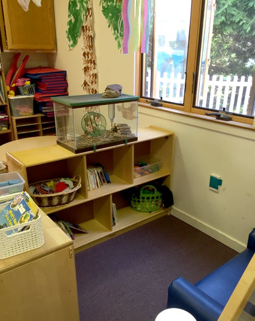 Animal habitat in a classroom