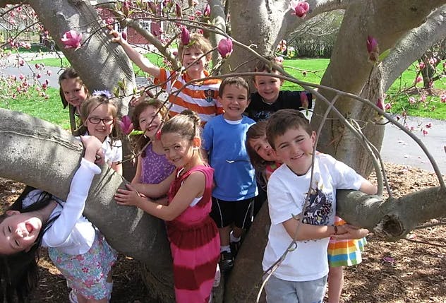 Group of children playing in a tree with pink blossoms