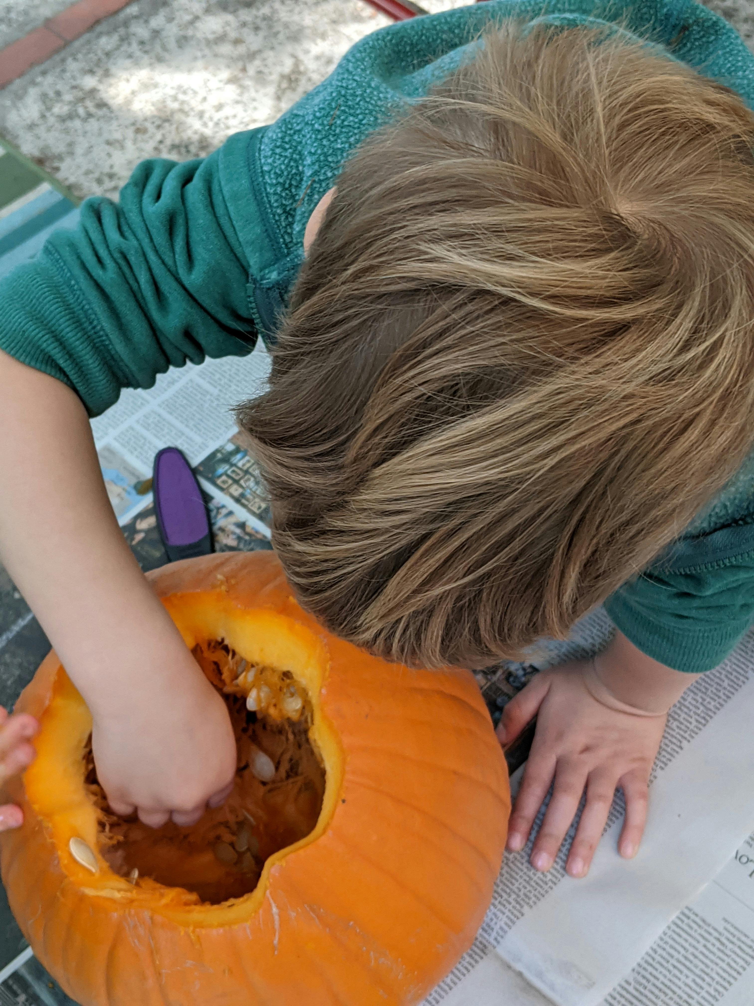 Child reaching into a pumpkin to remove seeds and pulp