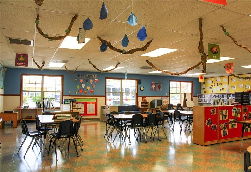 Classroom with tables, chairs, and decorations including ceiling vines and wall decor