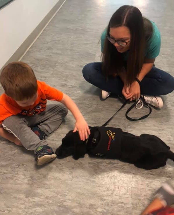 Child petting a dog wearing a vest, with a person watching