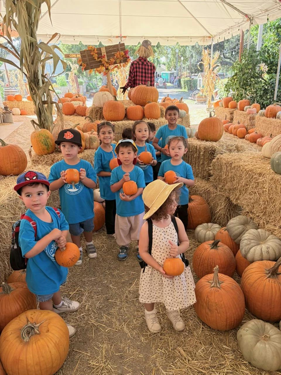 Group of children holding small pumpkins at a pumpkin patch