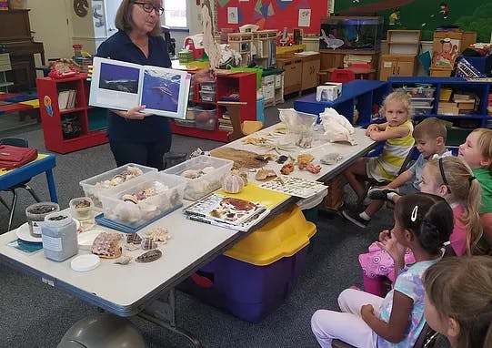Person holding open book to children sitting at table with shells on table