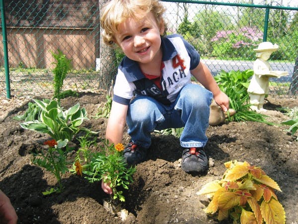 Child planting flowers in a garden