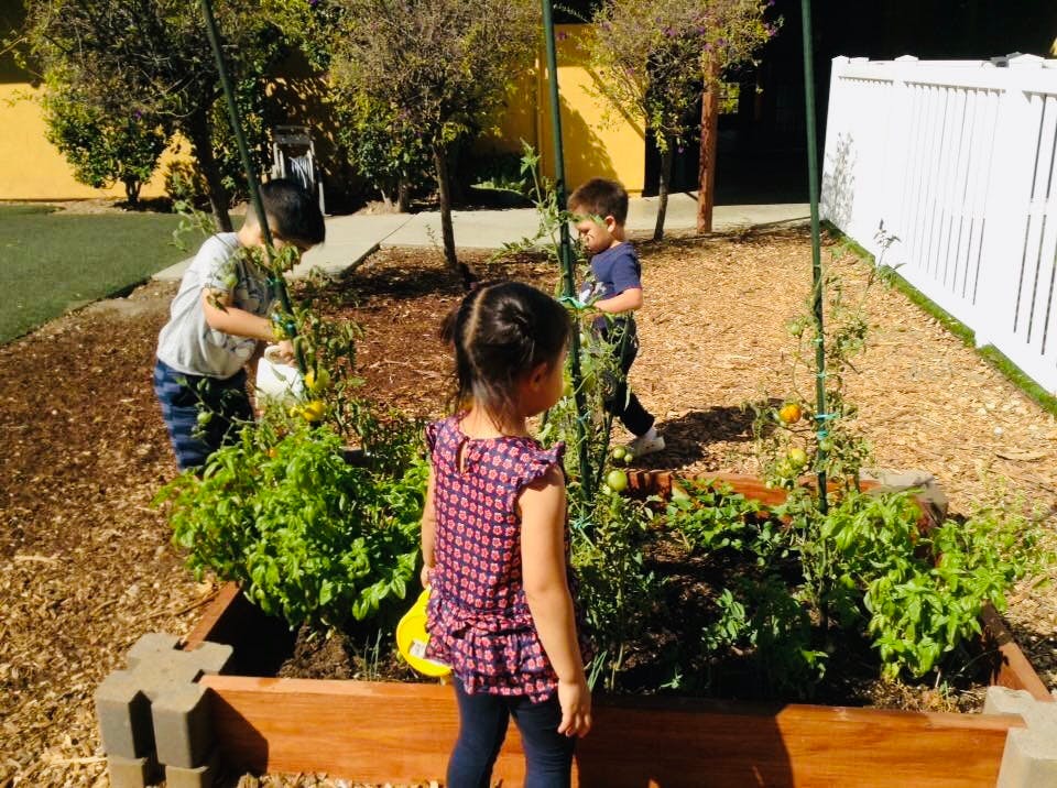 Children tending to plants in a raised garden bed