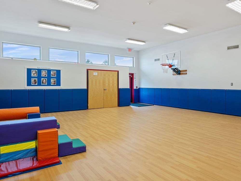 Empty school gymnasium with blue padded walls and a basketball hoop