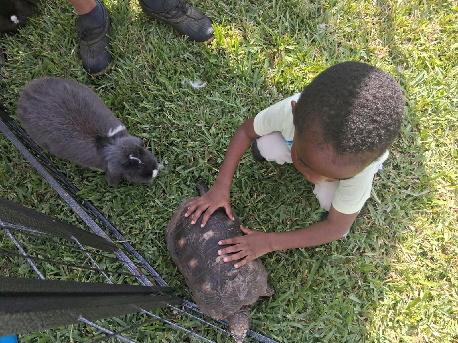 Child touching a tortoise on the grass near a rabbit