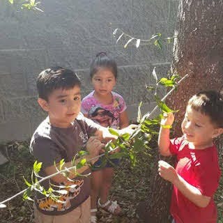 Little Loves Educare in McAllen, TX