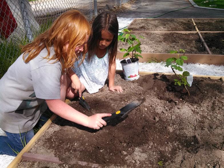 Two people planting in a garden bed