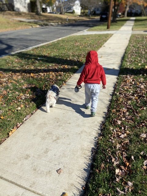 Child in red hoodie walking a small dog on a leash on a sidewalk