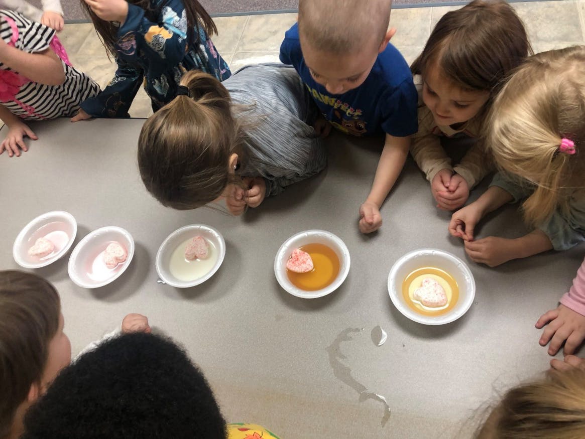 Children gathered around a table looking at bowls with various liquids and objects
