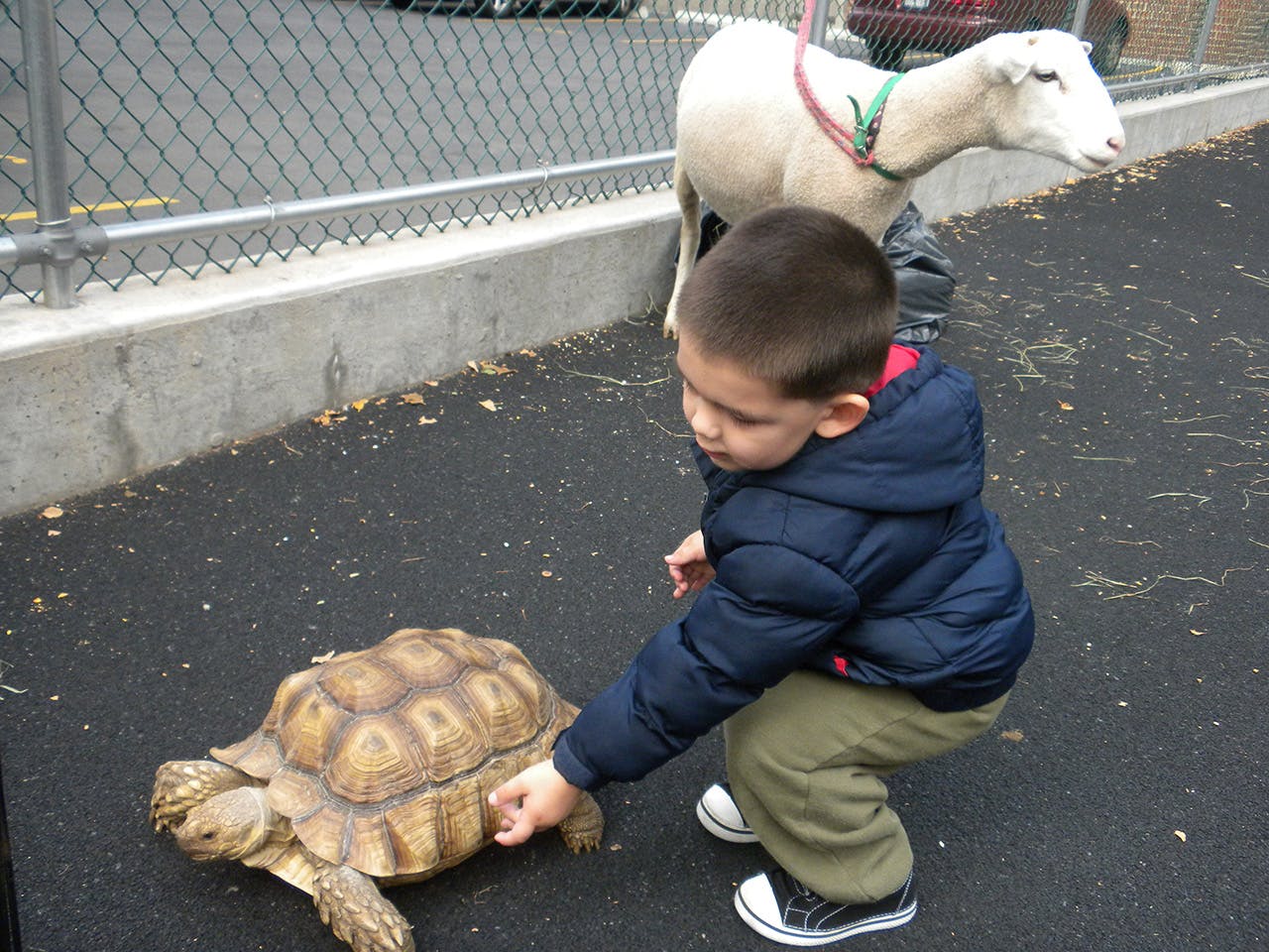 Jack and Jill Nursery School Preschool in Queens, NY Winnie