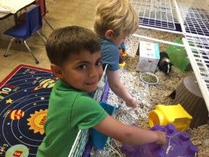 Two children playing with toys on the floor