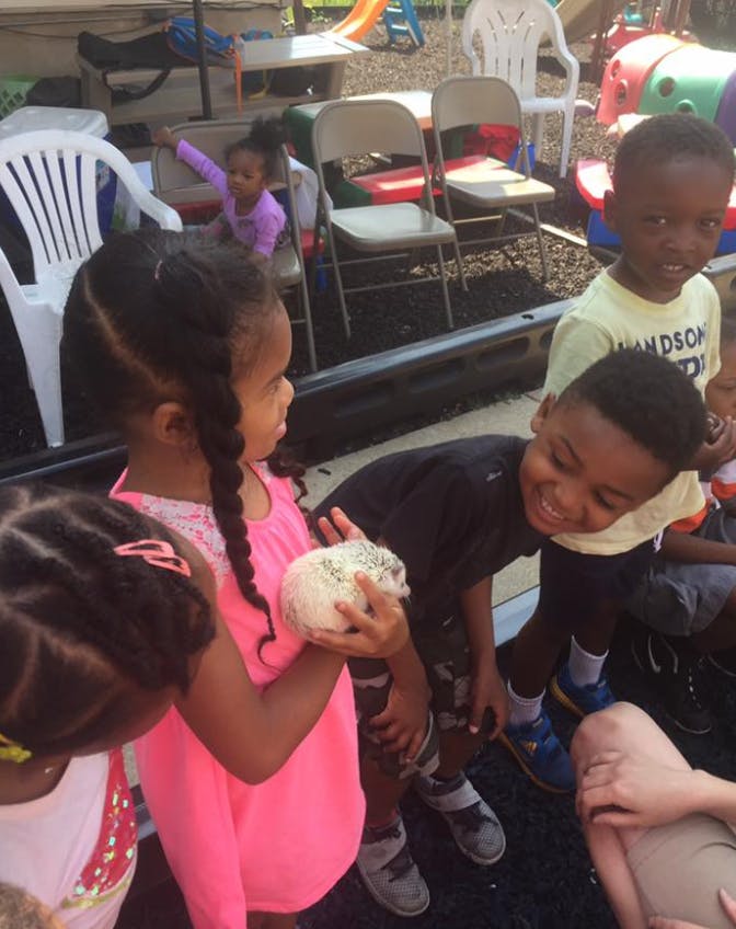 Child in pink holding a small animal, other children looking on