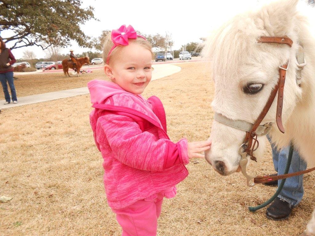 Child in pink jacket touching a white pony