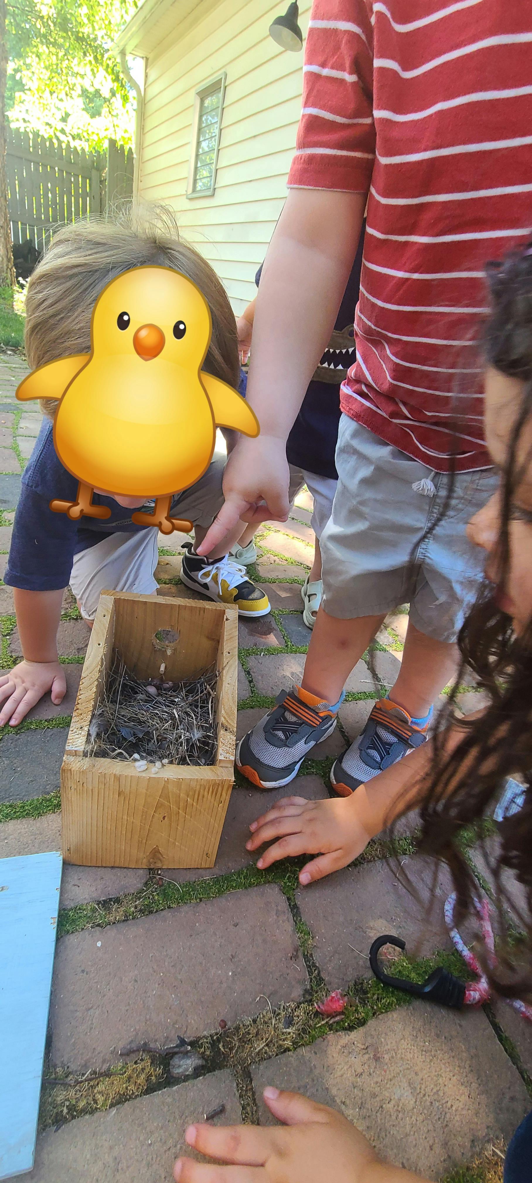 Children looking at a wooden birdhouse with a nest inside