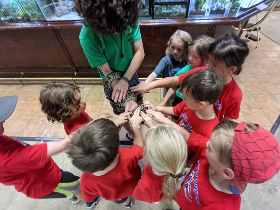 Person holding a snake while children touch it