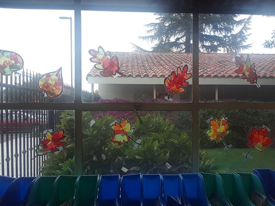 Window with colorful leaf cutouts and view of building and trees outside