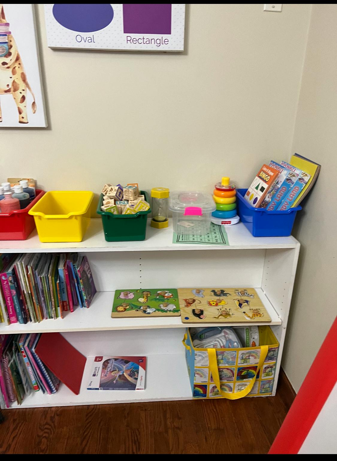 Shelves with books, puzzles, and colorful bins of toys