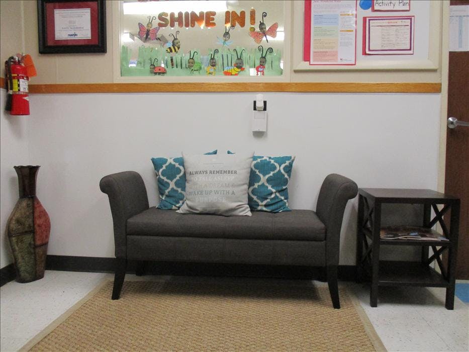 Sofa with throw pillows under a window decorated with paper insects