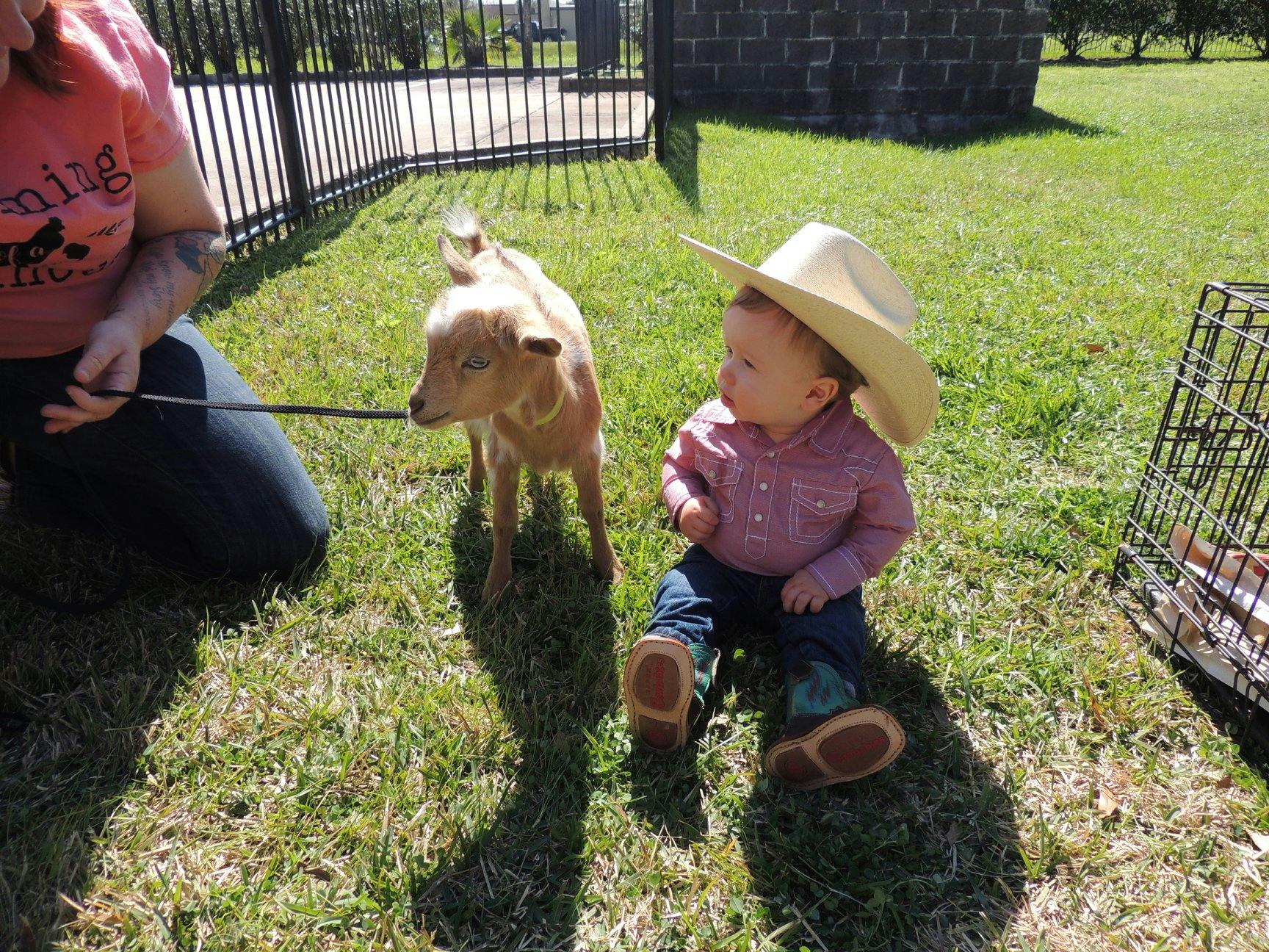 Person holding a goat on a leash next to a child in a cowboy hat