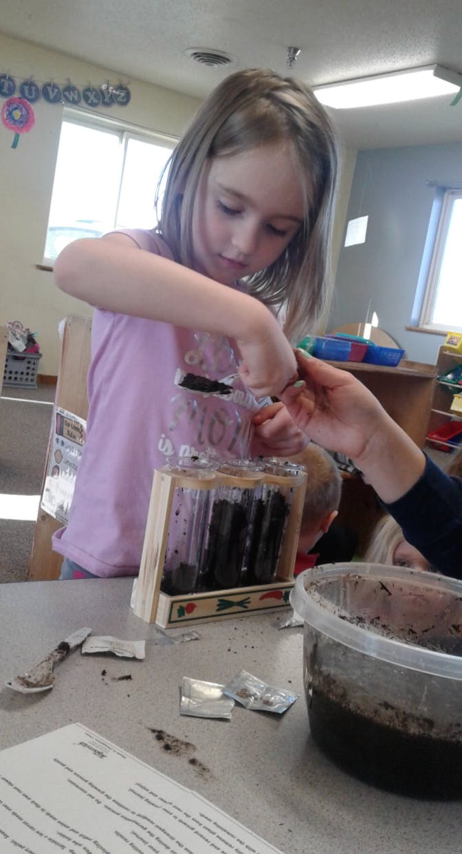Child and adult hands working on a science project with soil