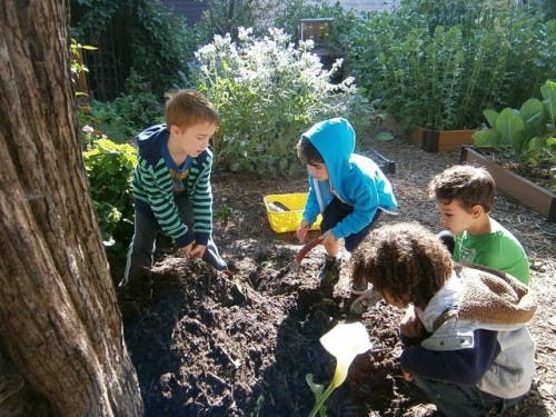 Four children digging in dirt outdoors