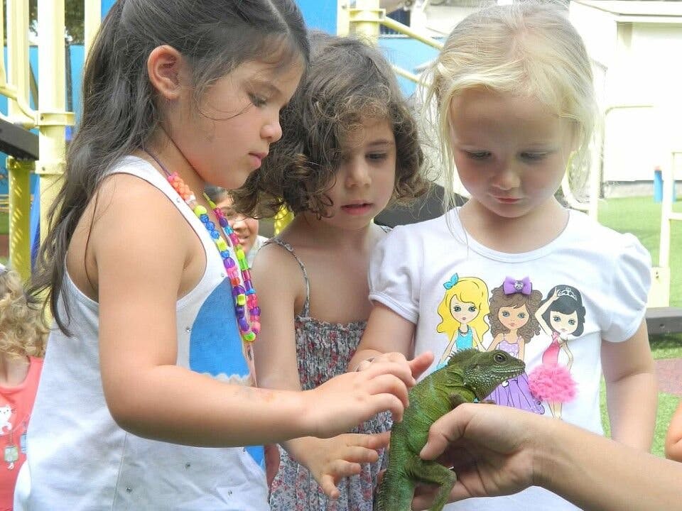 Three children looking at a lizard held by a person