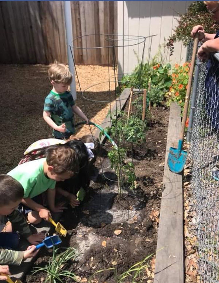 Children planting in a garden