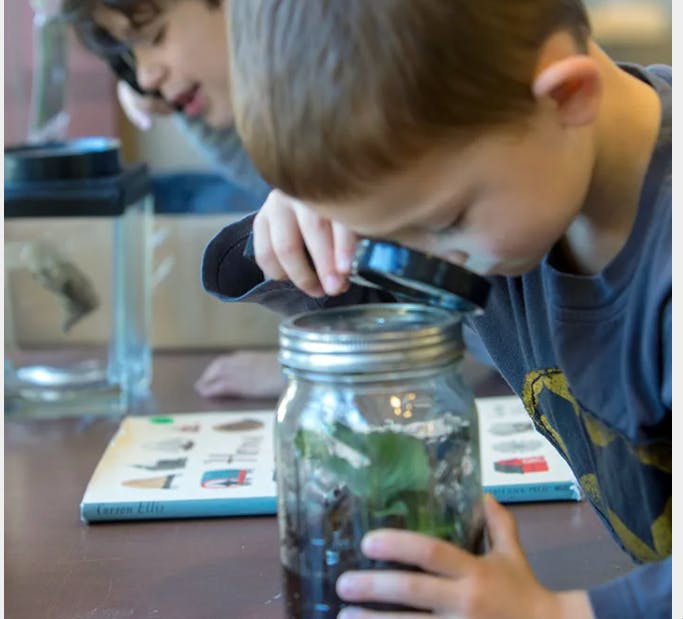 Child looking into a jar with a magnifying glass