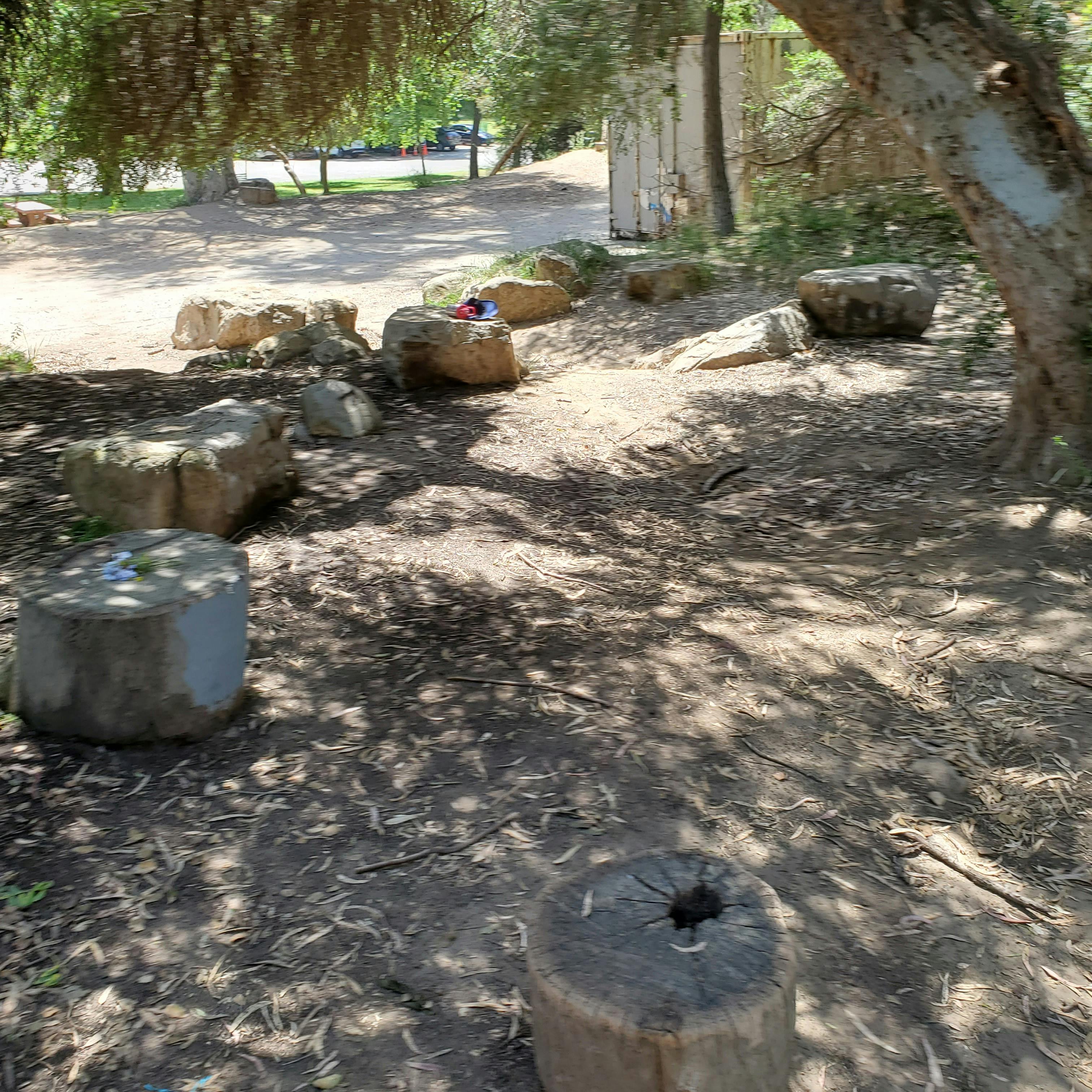 Dirt path with tree stumps and large rocks