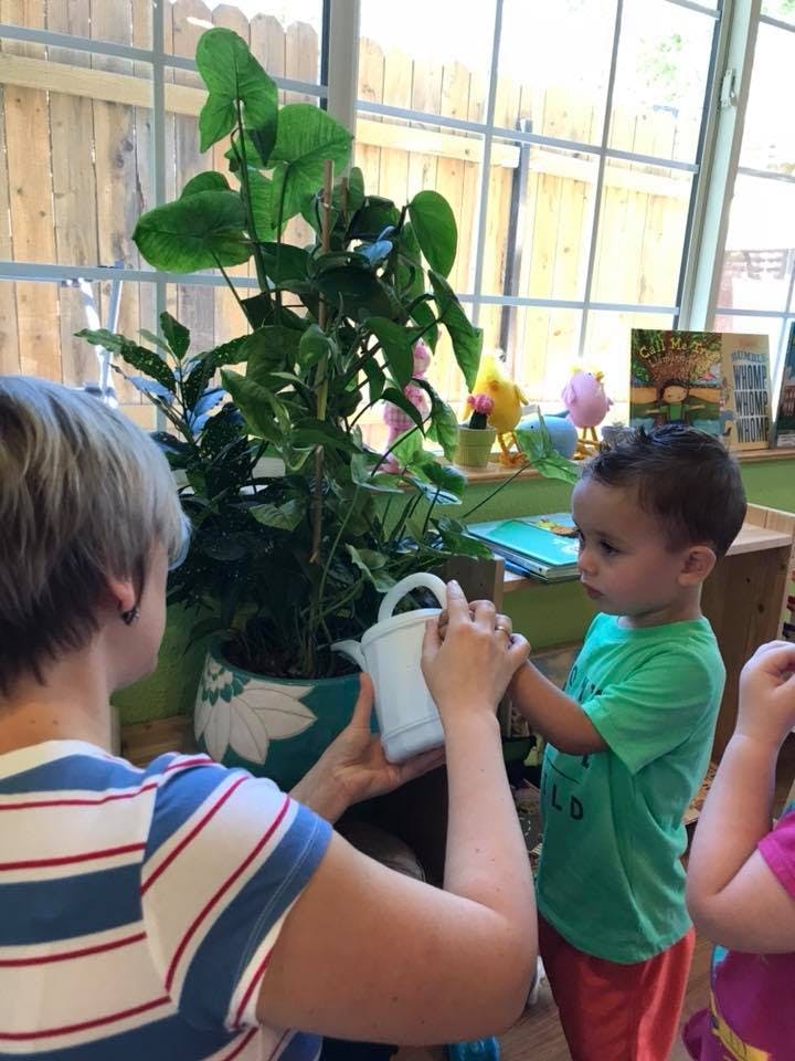 Person and child holding a watering can near a potted plant