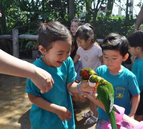 Child feeding a parrot held by another child