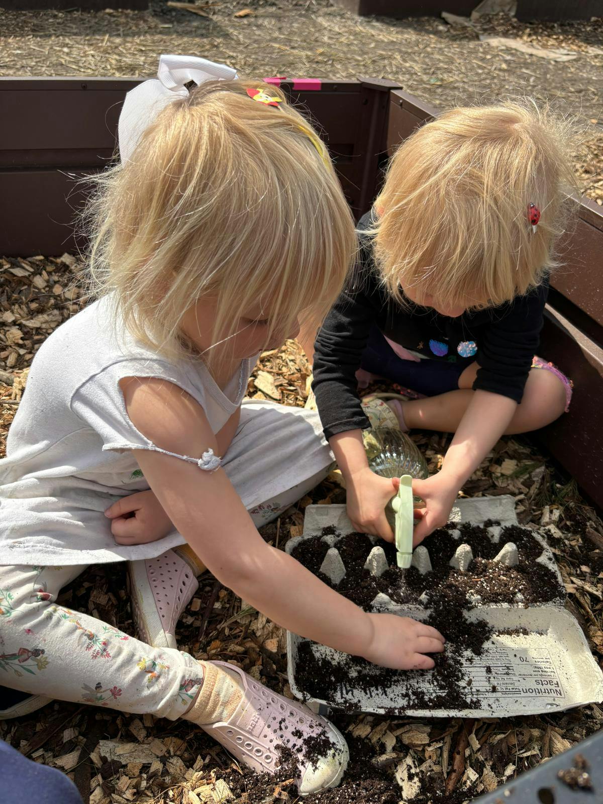 Two children spraying water into soil inside an egg carton