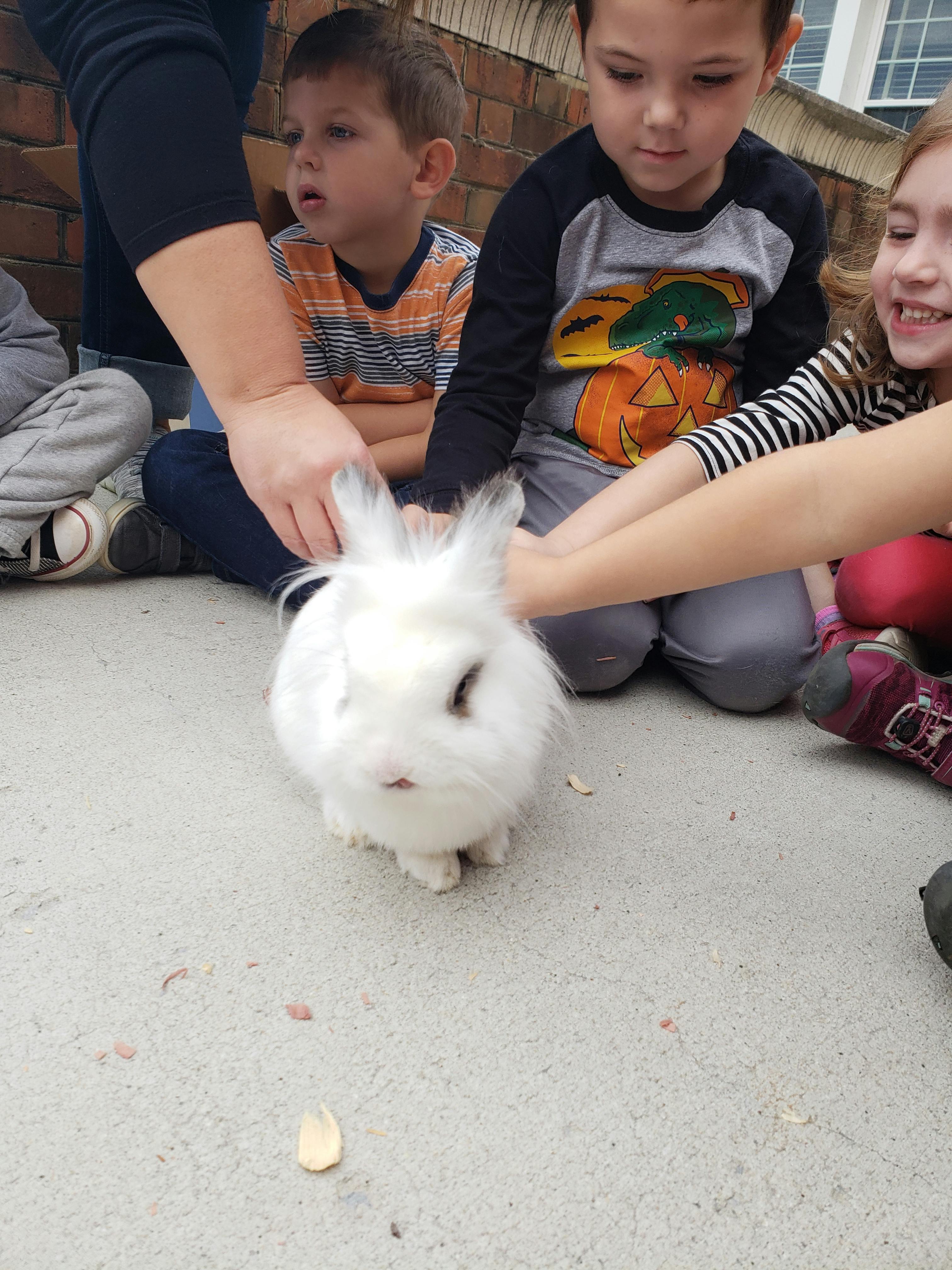 Children and adults petting a white rabbit