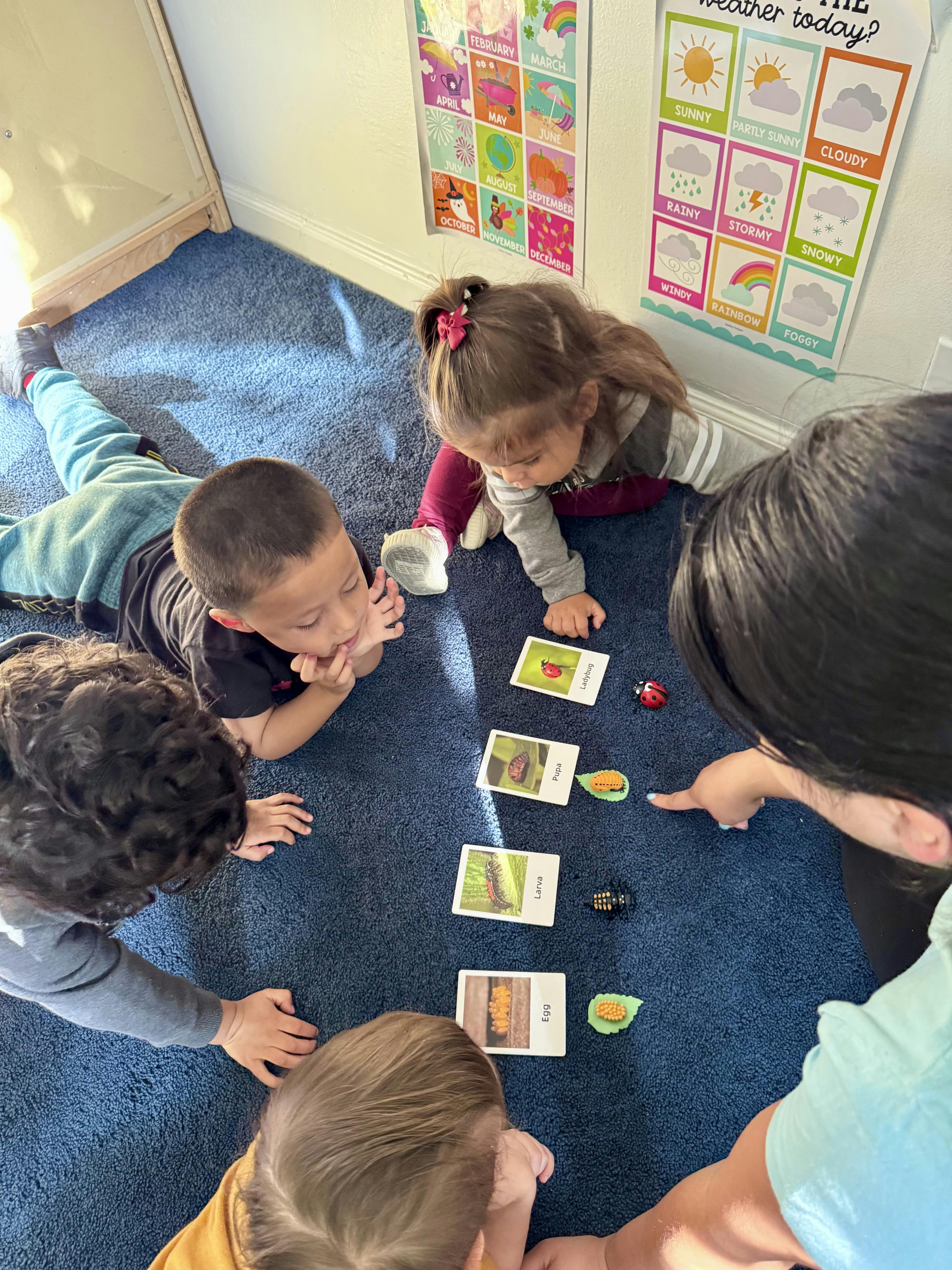 Adult and children looking at cards with insect life cycles