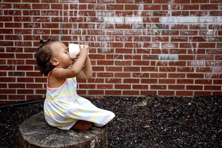 Child drinking from a cup while sitting on a tree stump