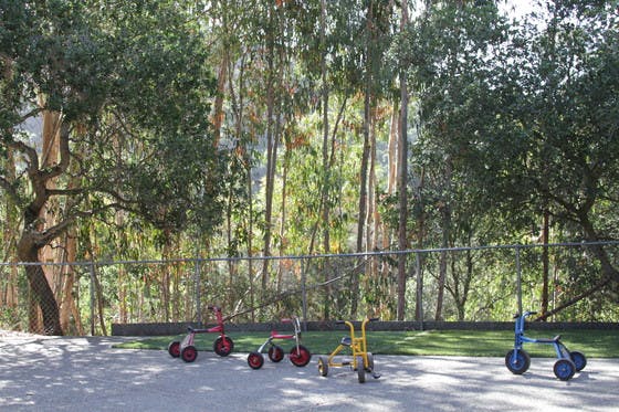 Children's tricycles and scooters on a paved area near trees