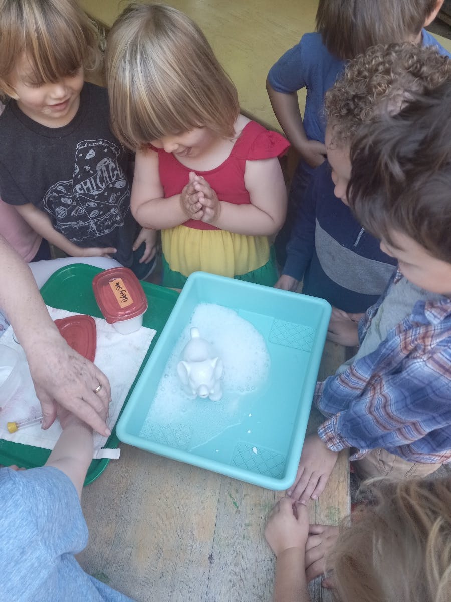 Children gathered around a blue bin with water and a white object