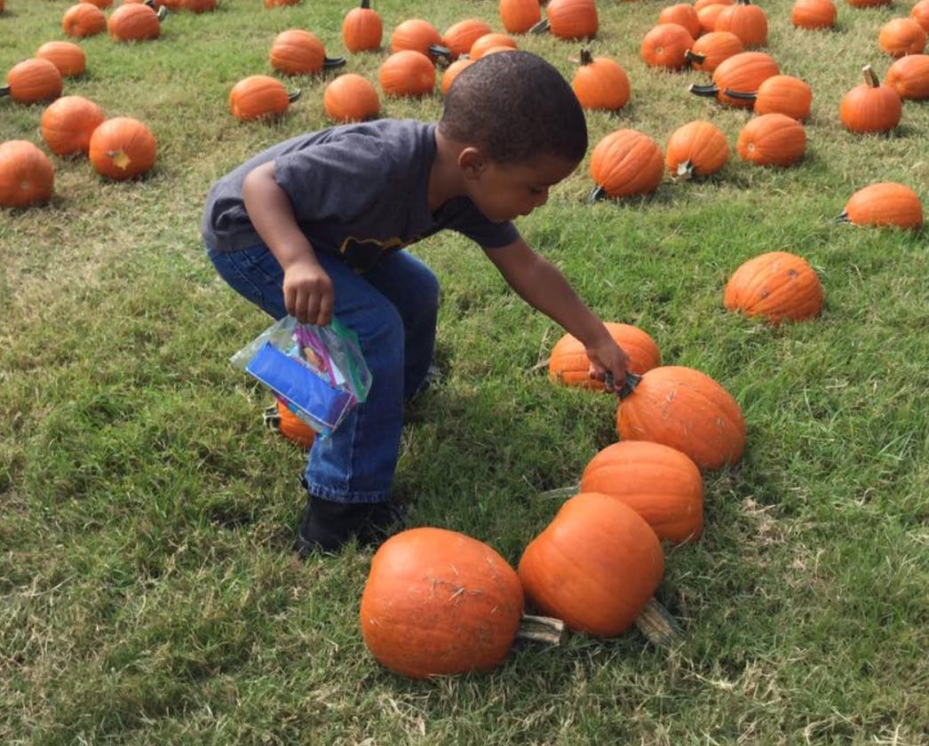 Child in a pumpkin patch reaching for a pumpkin