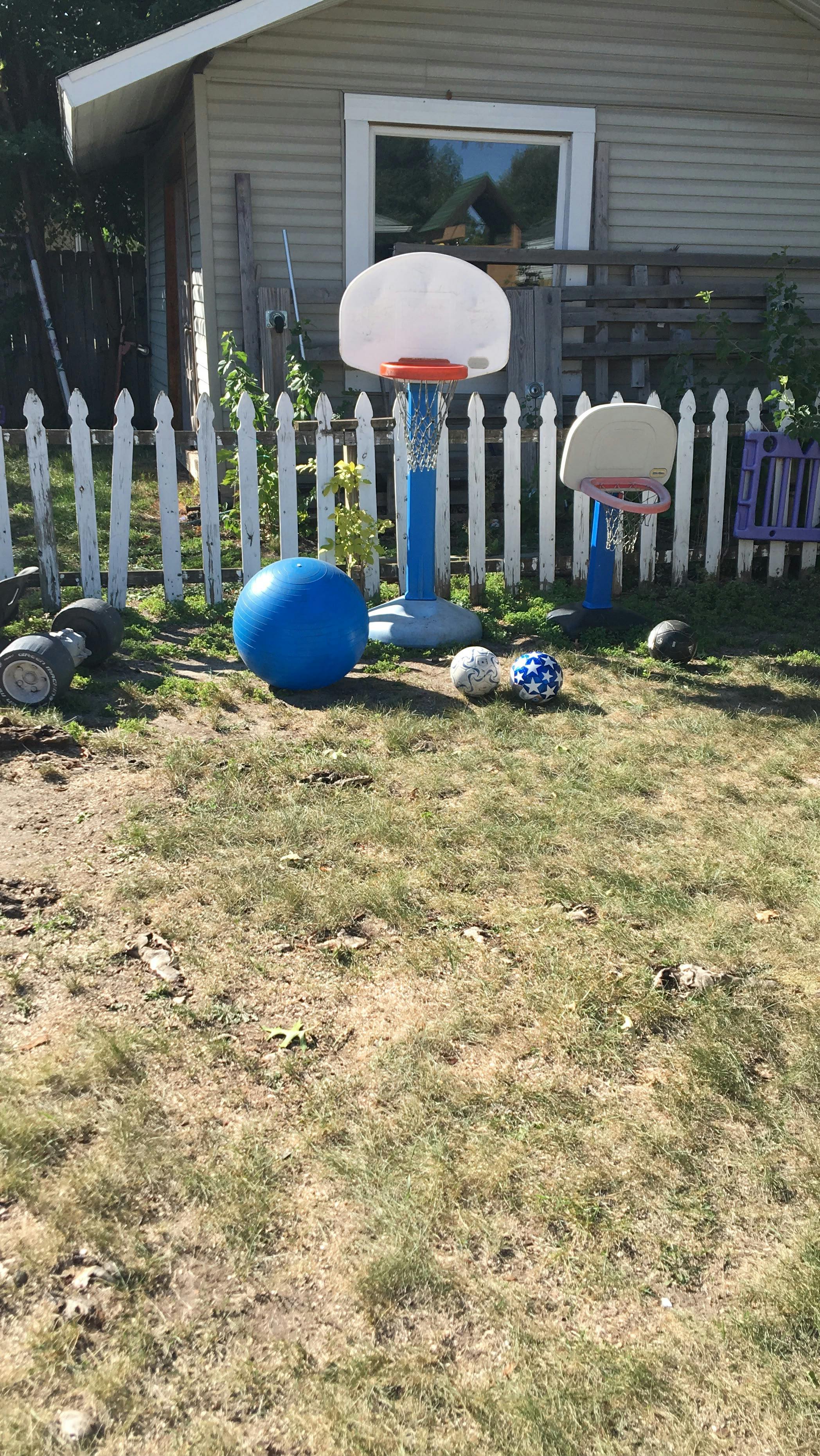 Basketball hoops and various balls in a backyard