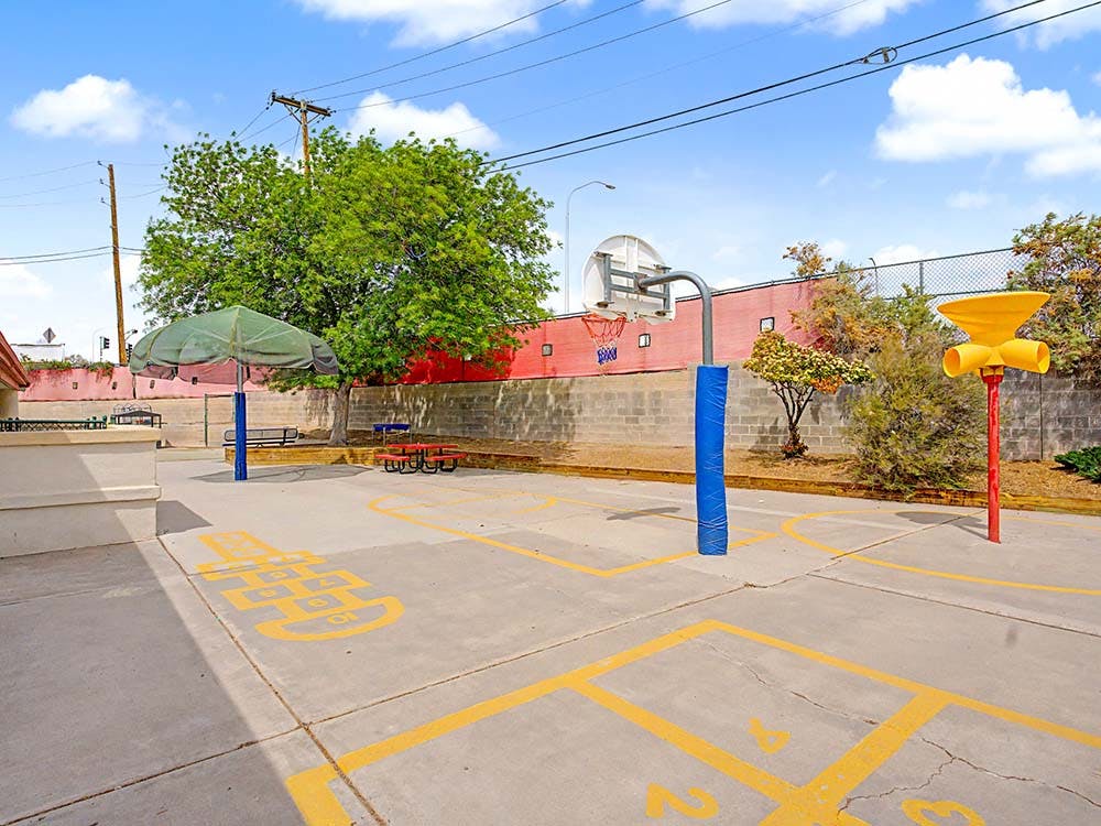 Basketball hoop on a paved court with yellow markings and a large umbrella