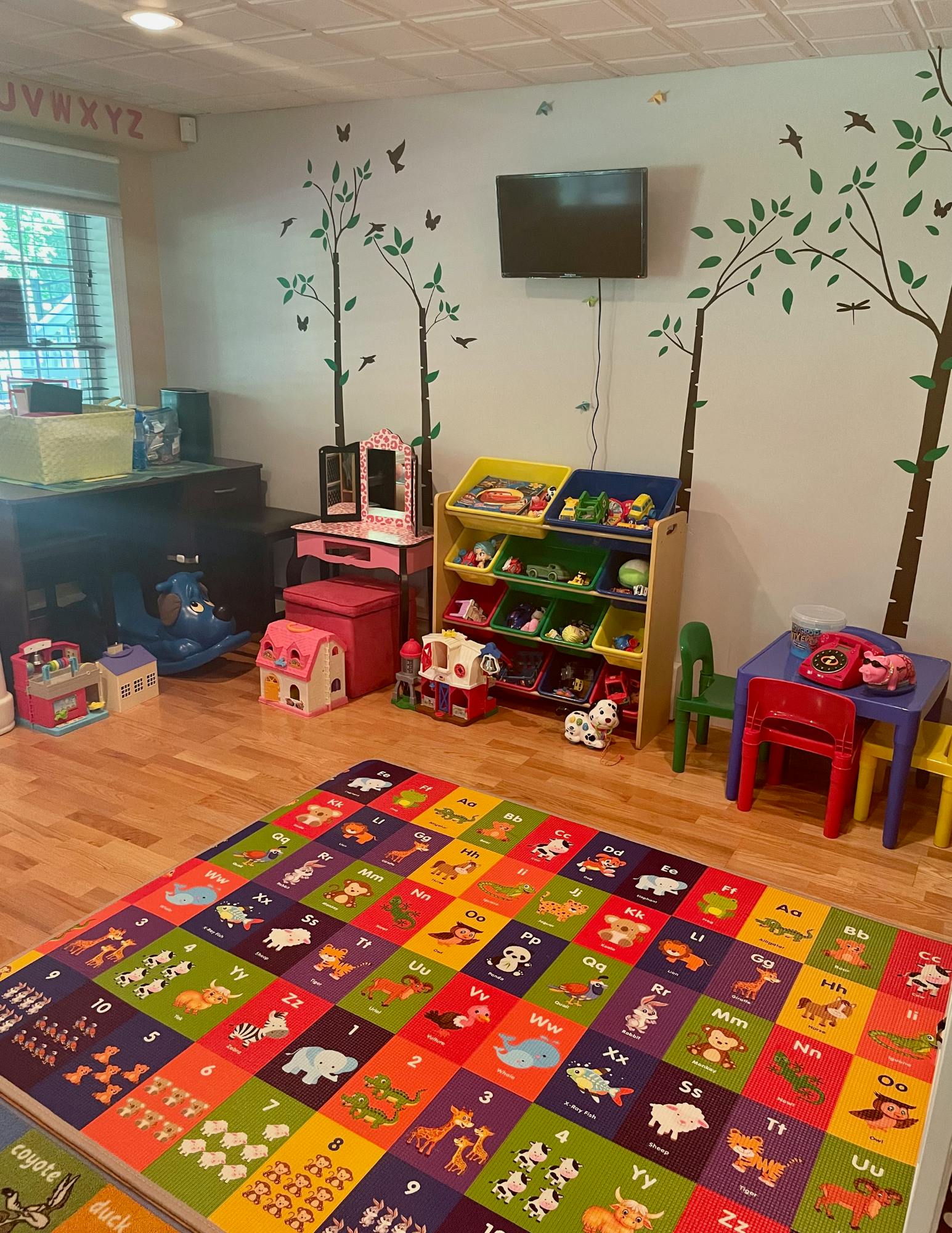 Playroom with colorful alphabet rug, toy storage, and small table and chairs