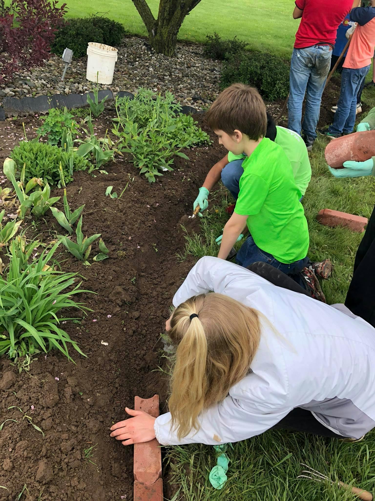 People working in a garden bed