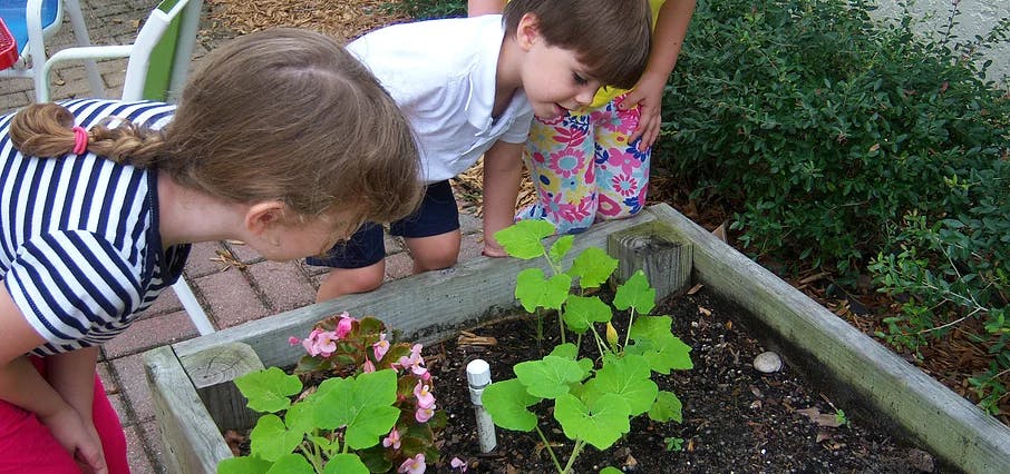 Two children looking at plants in a raised garden bed